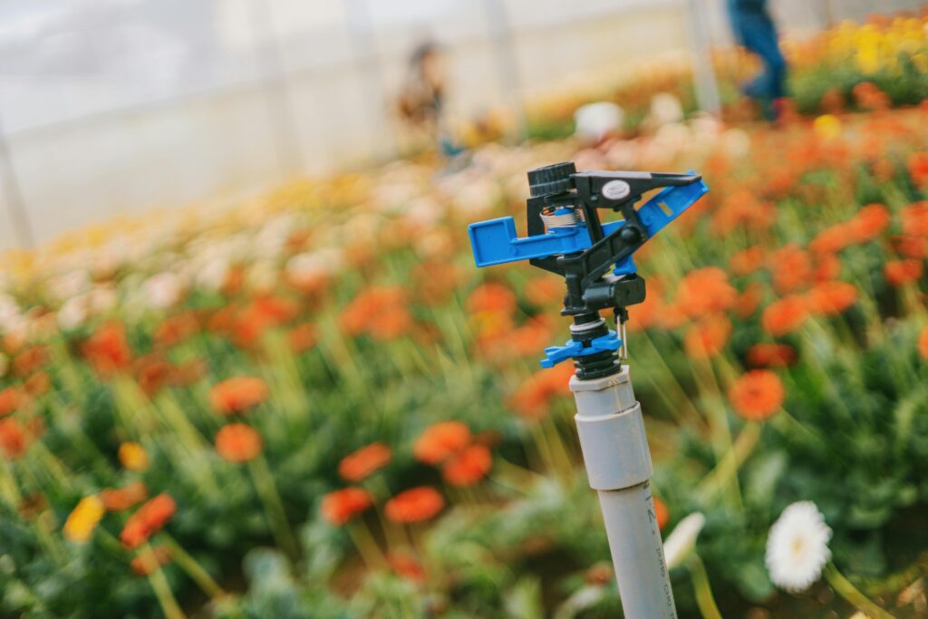 pexels-photo-750836-750836 Close-up of a sprinkler in a colorful flower field, enhancing growth in a greenhouse.